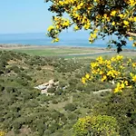 Rio Molas