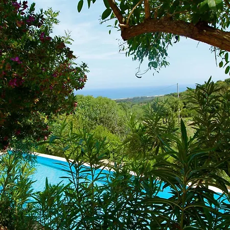 Rio Molas Муравьера