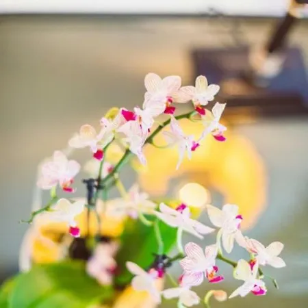 Rio Molas Отель Муравьера