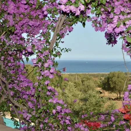 Rio Molas ホテル 3*