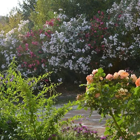 Rio Molas 3* ムラヴェーラ