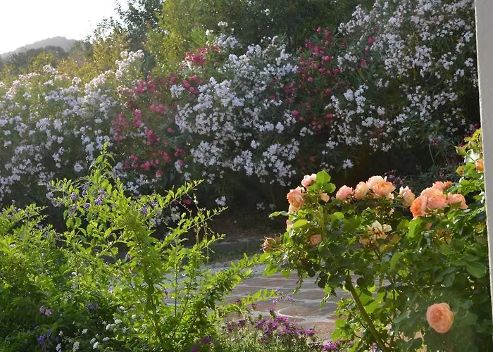 Rio Molas 3* Muravera