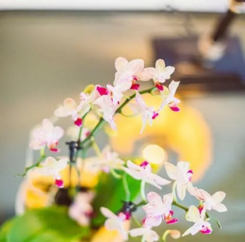 Rio Molas Hotel Muravera